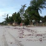 Z jihočeských Mažic do afrického Dakaru – V cíli cesty. Pobřeží Atlantiku – Dakar