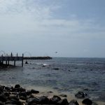 Z jihočeských Mažic do afrického Dakaru – V cíli cesty. Pobřeží Atlantiku – Dakar