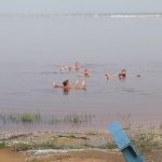 Z jihočeských Mažic do afrického Dakaru – V cíli cesty. Pobřeží Atlantiku – Dakar