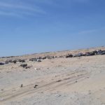 Z jihočeských Mažic do afrického Dakaru – V cíli cesty. Pobřeží Atlantiku – Dakar