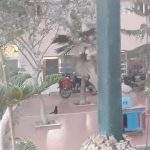 Z jihočeských Mažic do afrického Dakaru – V cíli cesty. Pobřeží Atlantiku – Dakar