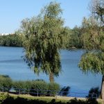 V pondělí v Hradci oslaví vznik Československa