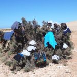 Z jihočeských Mažic do afrického Dakaru – Zpátky na sever a dále do Maroka