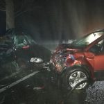 Smrtelná nehoda uzavřela silnici u Ledenic. Policie upřesňuje informace, doplněny fotografie