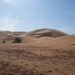 Z jihočeských Mažic do afrického Dakaru – Zpět na sever k pobřeží