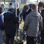 Školáci se nadšeně vrhli do sázení nových stromů v Písku