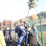 Školáci se nadšeně vrhli do sázení nových stromů v Písku