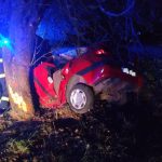 U Olešné zahynul 48 letý muž z Písecké Smolče