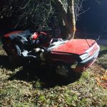U Olešné zahynul 48 letý muž z Písecké Smolče