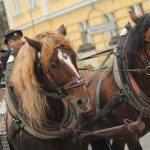 Hubertova jízda vyrazila na své tradiční putování Pískem