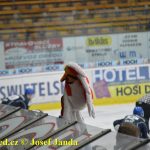 Hledá se střelec. Kohouti poprvé v sezoně neskórovali