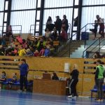 Na házenkářské palubovce v Milevsku se sešla tuzemská elita