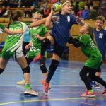 Na házenkářské palubovce v Milevsku se sešla tuzemská elita