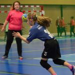 Na házenkářské palubovce v Milevsku se sešla tuzemská elita