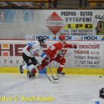 Mladí kohouti bojovali o body znovu marně. V Táboře zvítězila ve čtvrtek Slavia