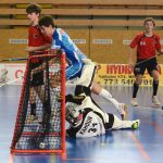 Liga juniorů: Došwiháci doma nestačili ani na Tygry, ani na Pantery