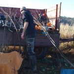 Dobrovolníci a myslivci vysadili čtyřicet pět ovocných stromů