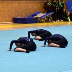 Píseckou sportovní halu zaplnil Teamgym