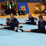 Píseckou sportovní halu zaplnil Teamgym