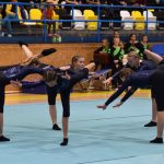 Píseckou sportovní halu zaplnil Teamgym