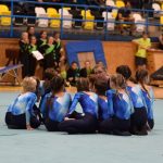Píseckou sportovní halu zaplnil Teamgym