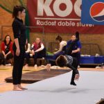 Píseckou sportovní halu zaplnil Teamgym