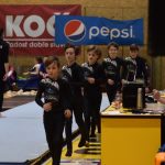 Píseckou sportovní halu zaplnil Teamgym