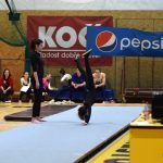 Píseckou sportovní halu zaplnil Teamgym