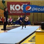Píseckou sportovní halu zaplnil Teamgym