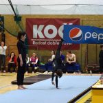 Píseckou sportovní halu zaplnil Teamgym