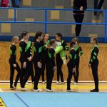 Píseckou sportovní halu zaplnil Teamgym