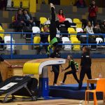 Píseckou sportovní halu zaplnil Teamgym