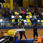Píseckou sportovní halu zaplnil Teamgym