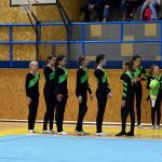 Píseckou sportovní halu zaplnil Teamgym