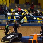 Píseckou sportovní halu zaplnil Teamgym