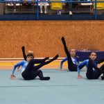 Píseckou sportovní halu zaplnil Teamgym