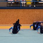 Píseckou sportovní halu zaplnil Teamgym