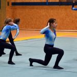 Píseckou sportovní halu zaplnil Teamgym