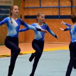 Píseckou sportovní halu zaplnil Teamgym
