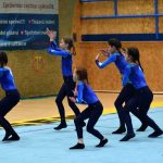 Píseckou sportovní halu zaplnil Teamgym