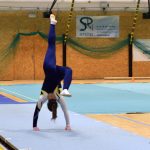 Píseckou sportovní halu zaplnil Teamgym