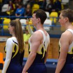 Píseckou sportovní halu zaplnil Teamgym