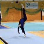Píseckou sportovní halu zaplnil Teamgym