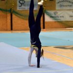 Píseckou sportovní halu zaplnil Teamgym