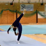 Píseckou sportovní halu zaplnil Teamgym
