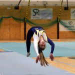 Píseckou sportovní halu zaplnil Teamgym