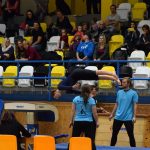 Píseckou sportovní halu zaplnil Teamgym