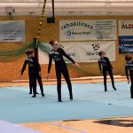 Píseckou sportovní halu zaplnil Teamgym