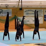 Píseckou sportovní halu zaplnil Teamgym
