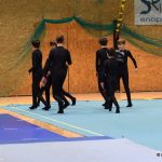 Píseckou sportovní halu zaplnil Teamgym